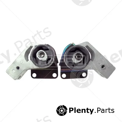 Rapro R51606 — Mounting, engine