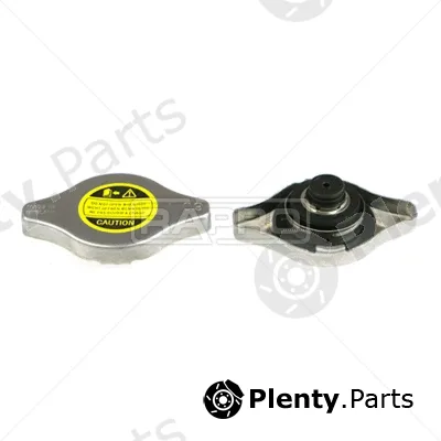Rapro R66137 — Cap, coolant tank