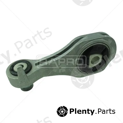 Rapro R51561/O — Mounting, engine