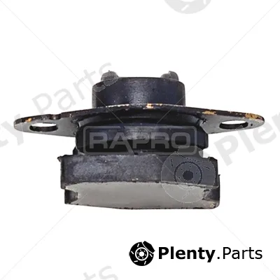 Rapro R55216 — Mounting, engine