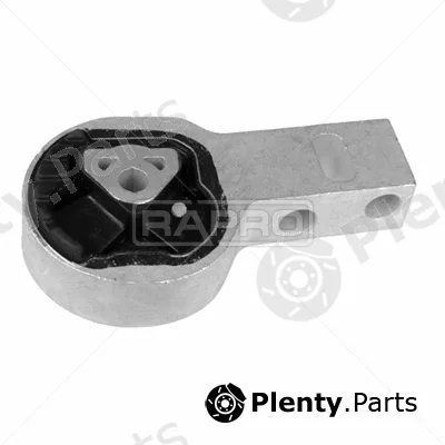 Rapro R54493 — Mounting, engine