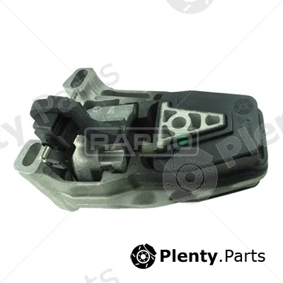 Rapro R51854/O — Mounting, engine
