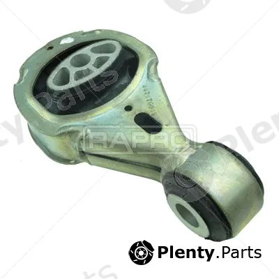 Rapro R50156/O — Mounting, engine
