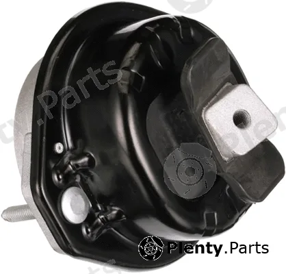 Rapro R55593 — Mounting, engine