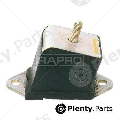 Rapro R58089 — Mounting, engine