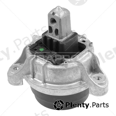 Rapro R54772 — Mounting, engine