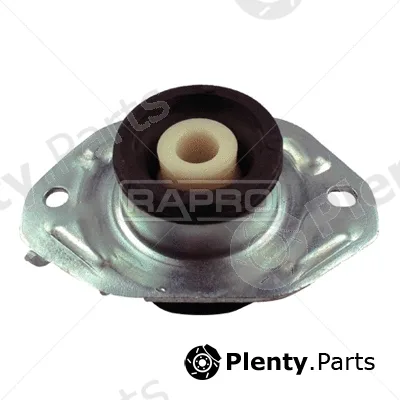 Rapro R51251 — Mounting, engine