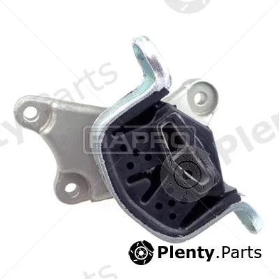 Rapro R54324 — Mounting, engine