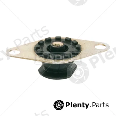 Rapro R57022 — Mounting, engine