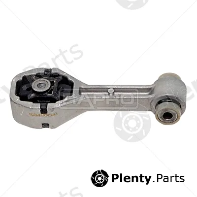 Rapro R55208 — Mounting, engine