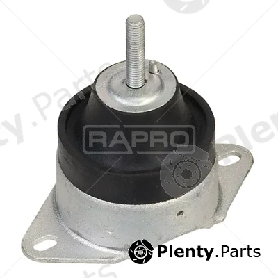Rapro R52124 — Mounting, engine