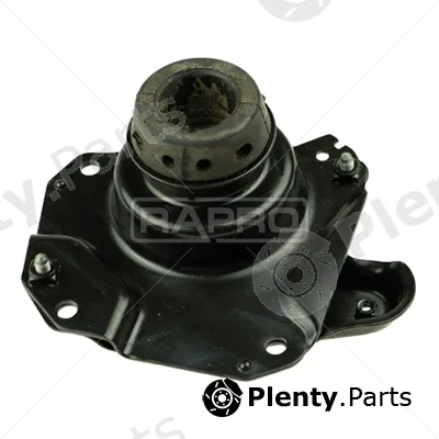 Rapro R55324 — Mounting, engine