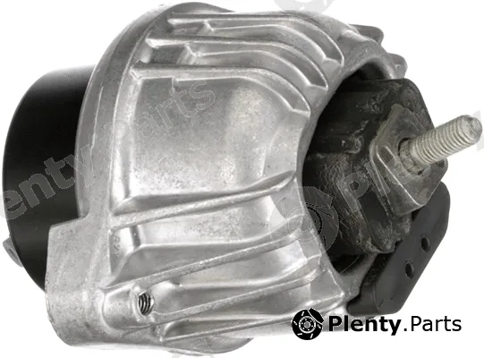 Rapro R55484 — Mounting, engine