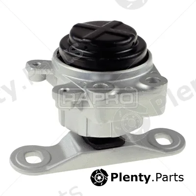 Rapro R54215 — Mounting, engine