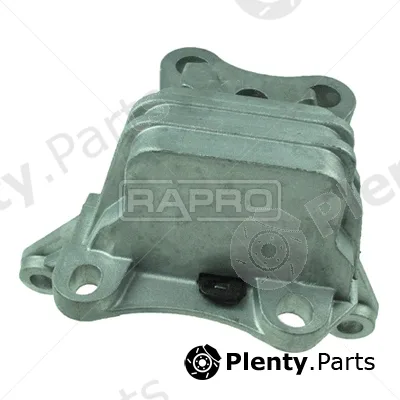 Rapro R51594/O — Mounting, engine