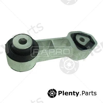 Rapro R53134/A — Mounting, engine