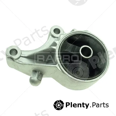 Rapro R51689 — Mounting, engine