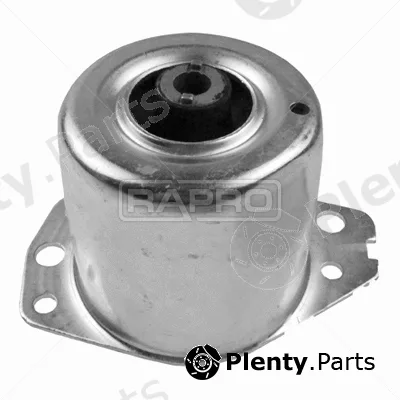 Rapro R51936 — Mounting, engine