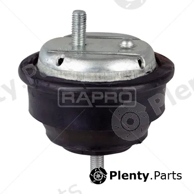 Rapro R54219 — Mounting, engine