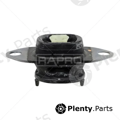 Rapro R54625 — Mounting, engine