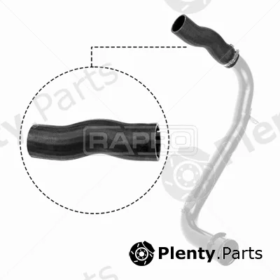 Rapro R11813 — Charge Air Hose