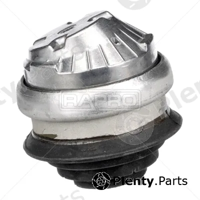 Rapro R55389 — Mounting, engine
