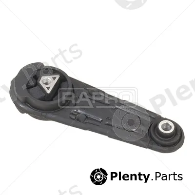 Rapro R53108 — Mounting, engine