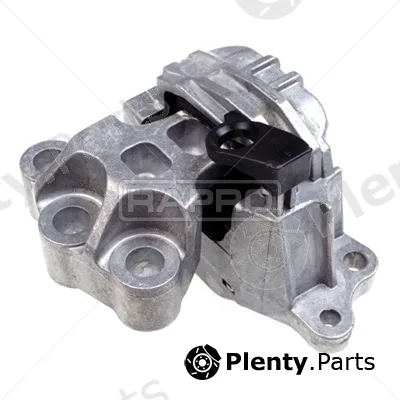 Rapro R54347 — Mounting, engine