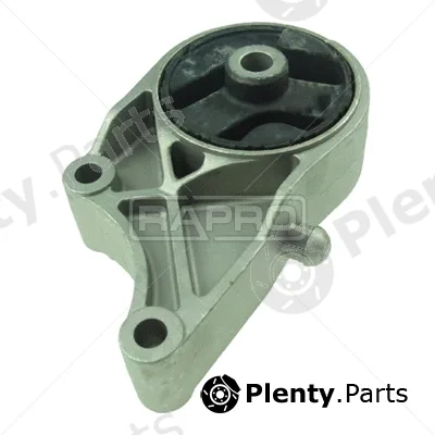 Rapro R51513 — Mounting, engine