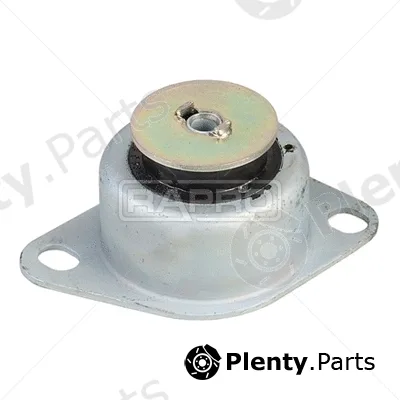 Rapro R52141 — Mounting, engine