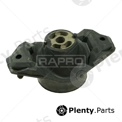 Rapro R55300/O — Mounting, engine