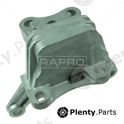 Rapro R51593/O — Mounting, engine