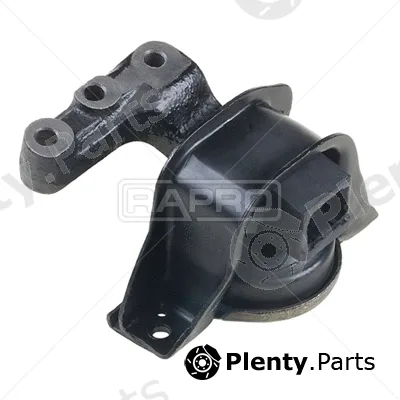 Rapro R59843 — Mounting, engine