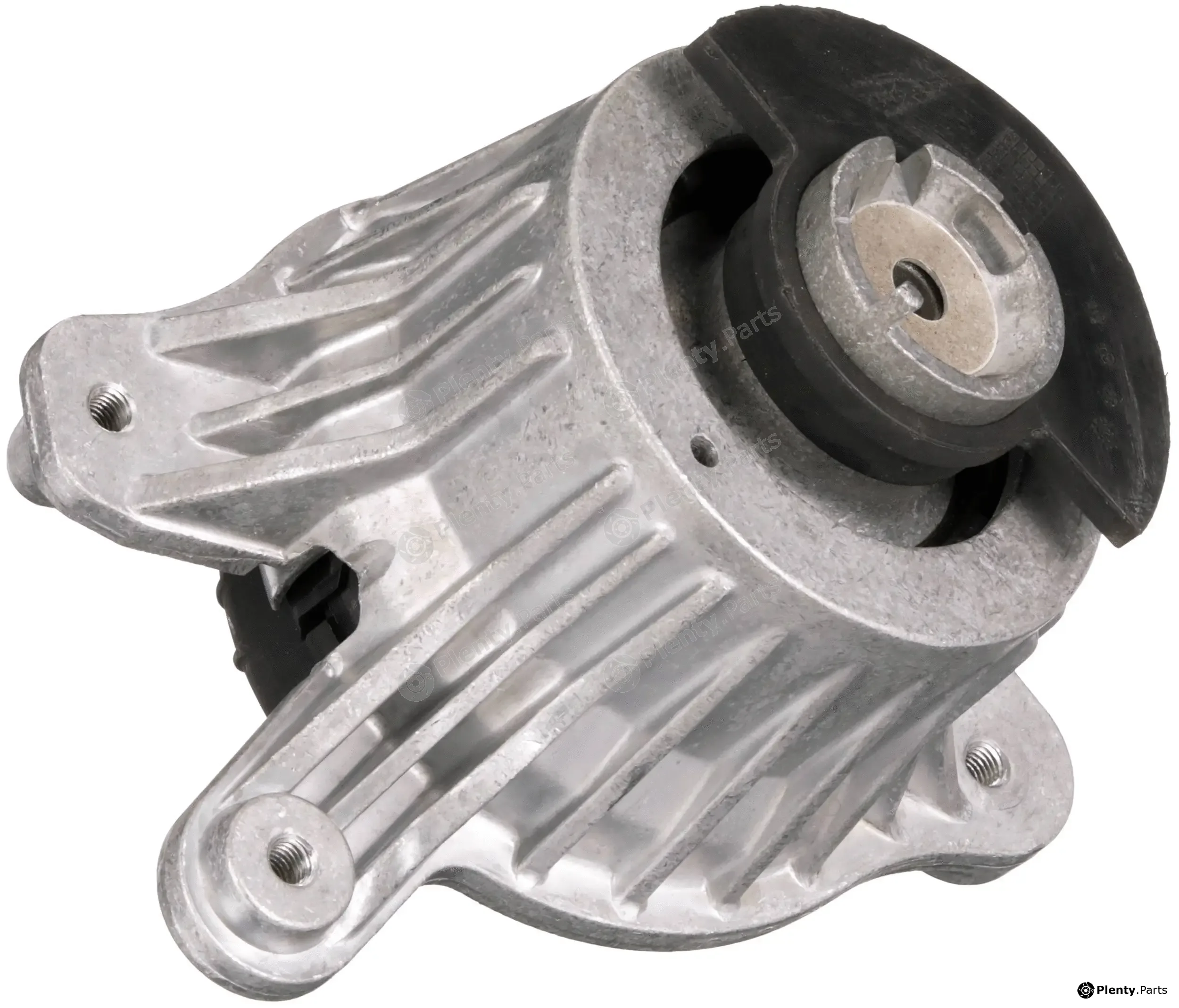 Rapro R55516 — Mounting, engine