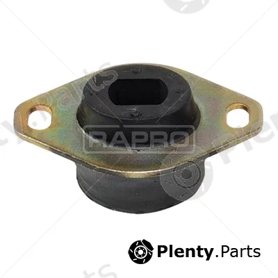 Rapro R55159 — Mounting, engine