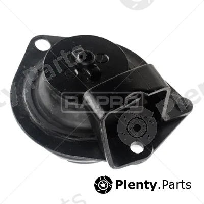 Rapro R54180 — Mounting, engine