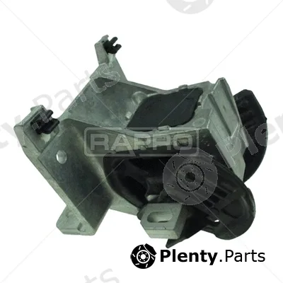 Rapro R51856/O — Mounting, engine