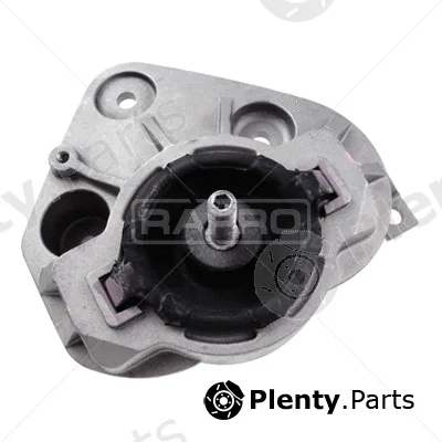 Rapro R50134/O — Mounting, engine