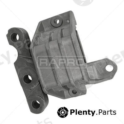 Rapro R59262 — Mounting, engine