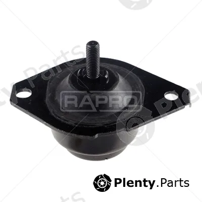 Rapro R54171 — Mounting, engine