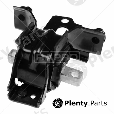 Rapro R54781 — Mounting, engine