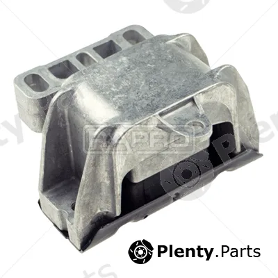 Rapro R55282/A — Mounting, engine