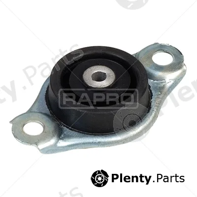 Rapro R52165 — Mounting, engine