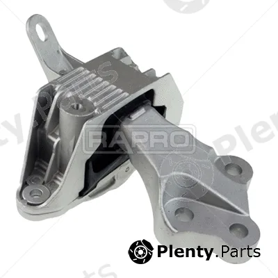 Rapro R54301 — Mounting, engine