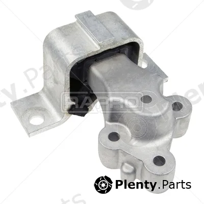 Rapro R53109 — Mounting, engine