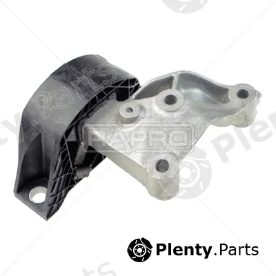 Rapro R54322 — Mounting, engine