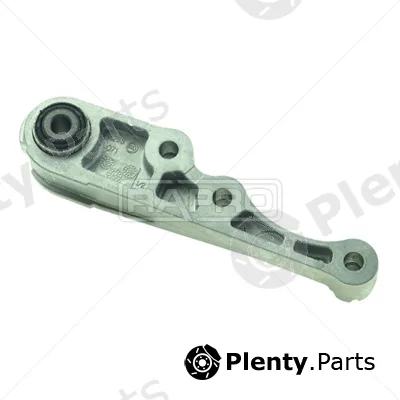 Rapro R53244/O — Mounting, engine