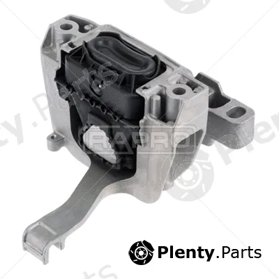 Rapro R54965 — Mounting, engine