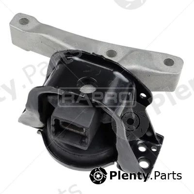 Rapro R51253 — Mounting, engine