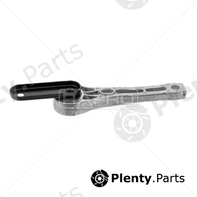 Rapro R54974 — Mounting, engine